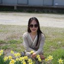 진달래농장 | 당진숨은명소 면천 진달래농장공원 천안 당일치기 드라이브코스 추천