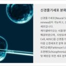 케이바이오 이미지