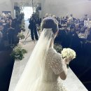 인화카써비스 | 세빛섬 플로팅아일랜드 웨딩 본식 후기, 식전미팅 / 주차, 식대, 식순(1부 + 2부) / 한강웨딩, 애견동반...