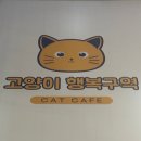 고양이 행복구역 이미지