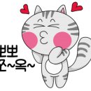 모든날라탄 이미지