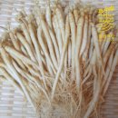 건강삼계탕 | 금산 인삼으로 만든 건강한 삼계탕 후기