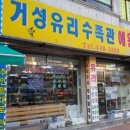 거성유리 수족관 이미지