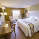 크리닝프라자 이미지