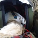 영수공원길 이미지