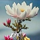 멋진하루 이미지