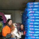 이씨양행 이미지