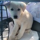 종혁농장 이미지