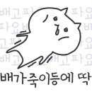 국민매운찜갈비 수성점 네이버블로그