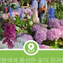 보라펜션식당 이미지