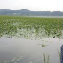 새물낚시터 이미지