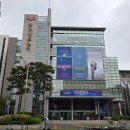 이루어짐 태권도&스포츠센터 | 피크민 블룸 서울 투어 2025 선물 소요시간 스페셜모종 후기 및 정보
