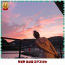 항구1465 | 장승포동 카페 카페 포뷰 운영시간 및 방문 정보와 가격까지 한번에 알아봐요