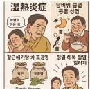성혜한의원 | [갈근해기탕][선이창][눈가려움][귀뒤의염증][중이염]