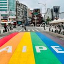 허그도그 이미지