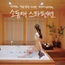 골드펜션b동민박 | [경남 거제] 일본감성 낭낭한 거제도 자쿠지 숙소 추천 ; 소동재스파펜션