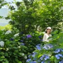 금산알뜰주유소 이미지