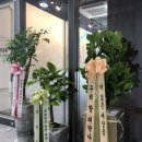 강남씨티공인중개사사무소 이미지