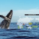 고래이야기 이미지