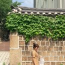 포시즌스틸 | 여름같지 않은 여름 일상 로그