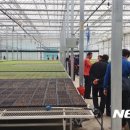 충주친환경유기영농조합법인 이미지