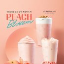 공차 앞 이미지