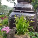 복수면사무소 이미지