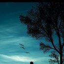 아름다운 동행 이미지