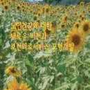 실버벨노인복지관 이미지