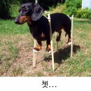 커짐 이미지