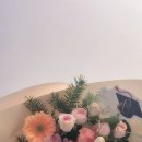 당산중학교 이미지