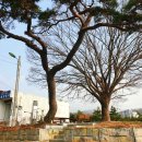 주교면행정복지센터 이미지