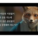 여우본색