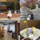 코티지플라워카페 | 연수동 카페 키테미테, 플라워스튜디오코티지, 겹벚꽃 숨은 명소