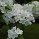 서촌공원 이미지