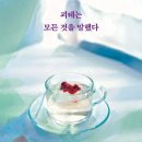 【 독서 후기】 『괴테는 모든 것을 말했다』