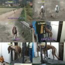 그레이 농장 이미지