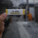 칠곡군청맛집 40년 전통 약목 식육식당