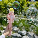 평택5로 | 요즘 핫한 다이소 신상 '전동 버블 공주 요술봉 비눗방울' 내돈내산 후기 및 사용시 주의사항