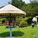 역사관주차장(신) 이미지