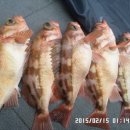 대왕슈퍼 이미지