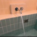 더 따숲 이미지