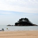 소분점도 Daum카페