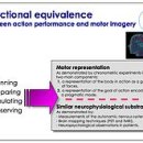 Autonomic nervous system correlates in movement observation and motor imagery 이미지