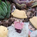 부평초등학교(병설) 이미지