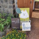 은해 농장 | [제주 한림]애견동반카페 '니나노제주'