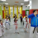 키즈연세태권도장 네이버블로그