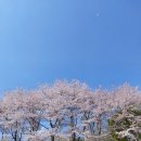 올바른 걷기 챌린지(노르딕 워킹) 이미지