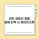 천안강아지분양 우리집퍼피 천안아산본점 (하이도그) | 천안 강아지 분양 업체 선택 시 꼭 알아야 할 필수 체크리스트