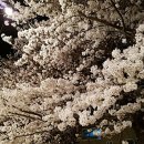 한국연합행정사사무소 이미지